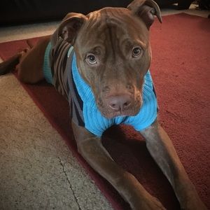 Meet your Posher, Samantha